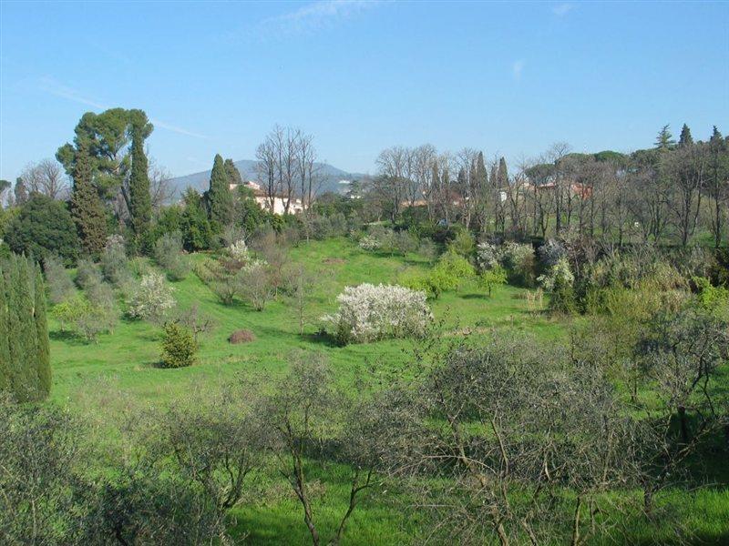 Villa Ulivi Florence Luaran gambar